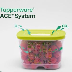 Tupperware Lime Green Sealable Fresh Storage Container 9.9 L